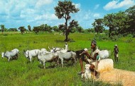 Fulani herdsmen and their host communities: A stitch in time saves nine