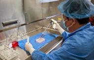 Vaginas grown in labs successfully implanted into girls with rare disorder