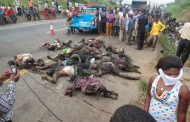 Ibadan forest of horror: putting the issue in perspective