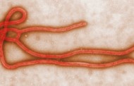 2nd US hospital worker to contract Ebola identified