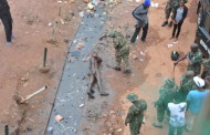 Wole Soyinka decries arbitrary use of terror by security forces as WSCIJ turns ten