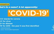 COVID-19: Judgement Day